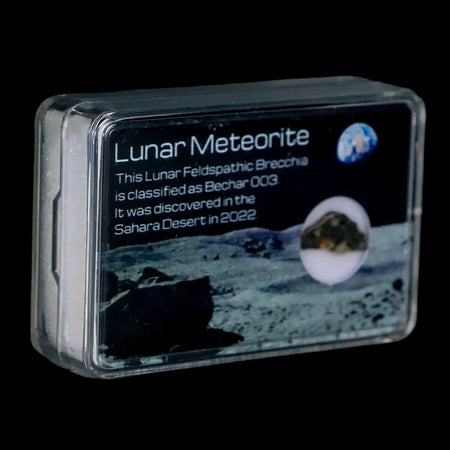 Moon Rock Lunar Meteorite Bechar 003 Algerian Sahara Desert Discovered 2022