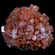 2.3" Red Aragonite Mineral Crystal Cluster Specimen Tazouta Morocco