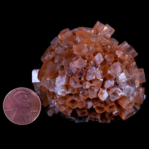 2.3" Red Aragonite Mineral Crystal Cluster Specimen Tazouta Morocco - Fossil Age Minerals