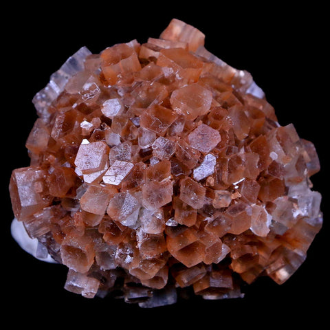 2.3" Red Aragonite Mineral Crystal Cluster Specimen Tazouta Morocco - Fossil Age Minerals