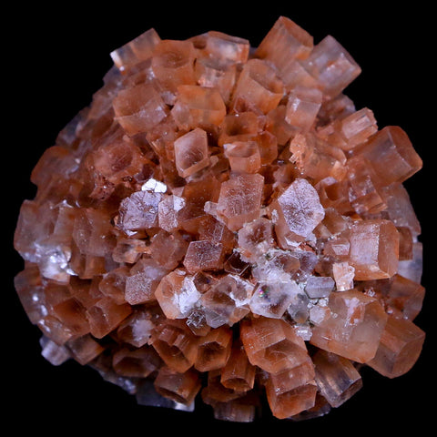 2.3" Red Aragonite Mineral Crystal Cluster Specimen Tazouta Morocco - Fossil Age Minerals