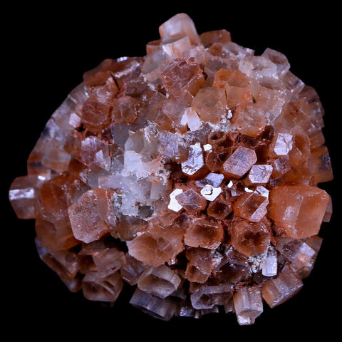 2.3" Red Aragonite Mineral Crystal Cluster Specimen Tazouta Morocco - Fossil Age Minerals