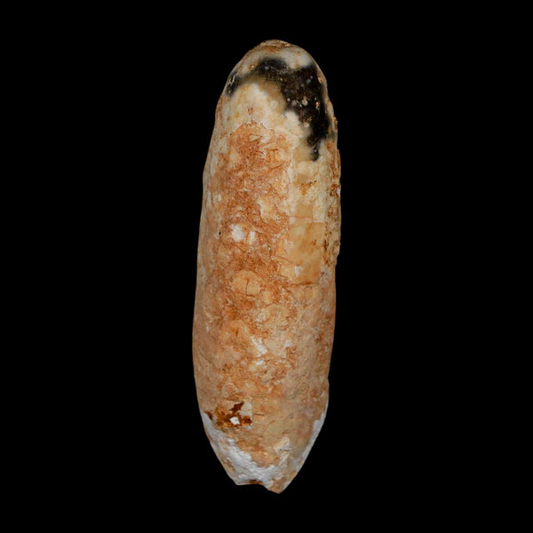 XL 2.3