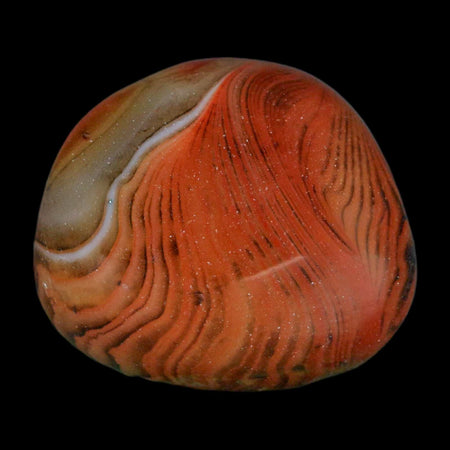 1.6" Natural Polished Red Silk Banded Agate Chalcedony Mineral Specimen