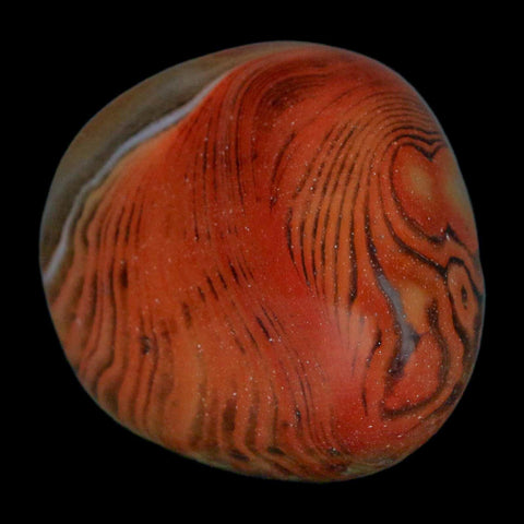 1.6" Natural Polished Red Silk Banded Agate Chalcedony Mineral Specimen - Fossil Age Minerals