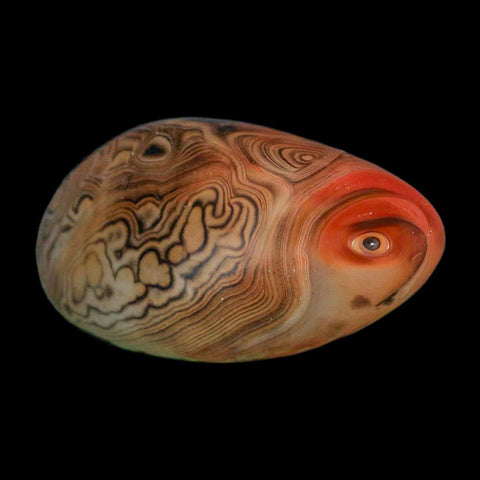 2.4" Natural Polished Red Silk Banded Agate Chalcedony Mineral Specimen - Fossil Age Minerals