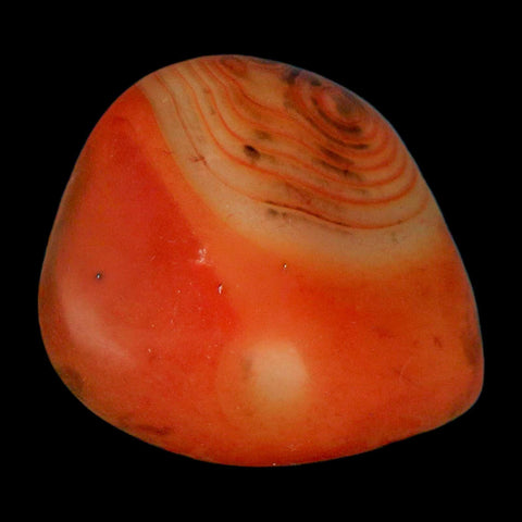 2.4" Natural Polished Red Silk Banded Agate Chalcedony Mineral Specimen - Fossil Age Minerals
