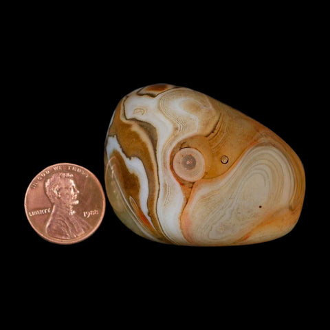 1.9" Natural Polished Red Silk Banded Agate Chalcedony Mineral Specimen - Fossil Age Minerals