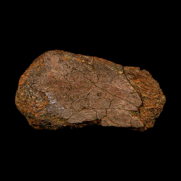 3.6