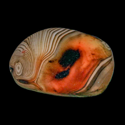 1.5" Natural Polished Red Silk Banded Agate Chalcedony Mineral Specimen - Fossil Age Minerals