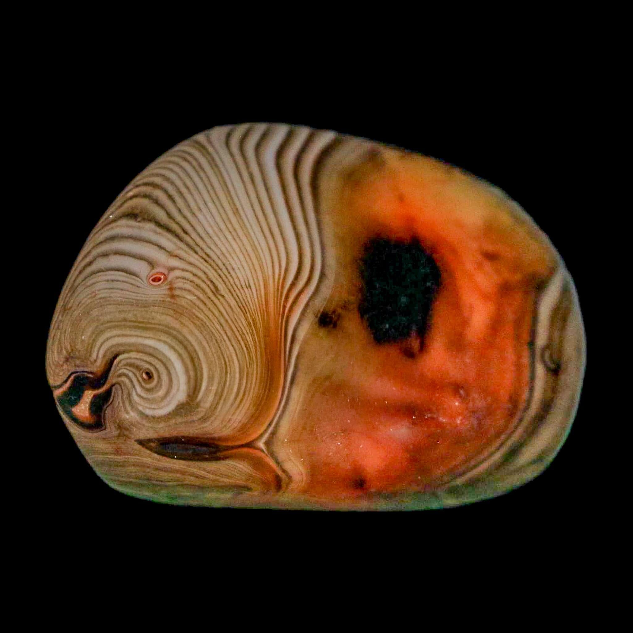 1.5" Natural Polished Red Silk Banded Agate Chalcedony Mineral Specimen - Fossil Age Minerals