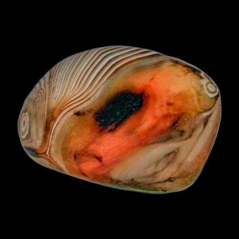 1.5" Natural Polished Red Silk Banded Agate Chalcedony Mineral Specimen - Fossil Age Minerals