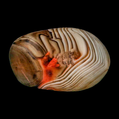 1.5" Natural Polished Red Silk Banded Agate Chalcedony Mineral Specimen - Fossil Age Minerals