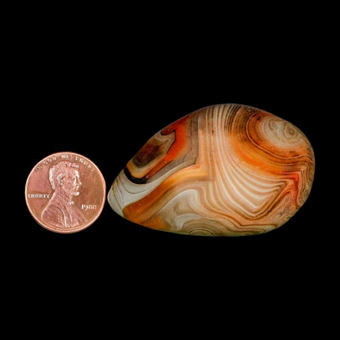 1.9" Natural Polished Red Silk Banded Agate Chalcedony Mineral Specimen - Fossil Age Minerals