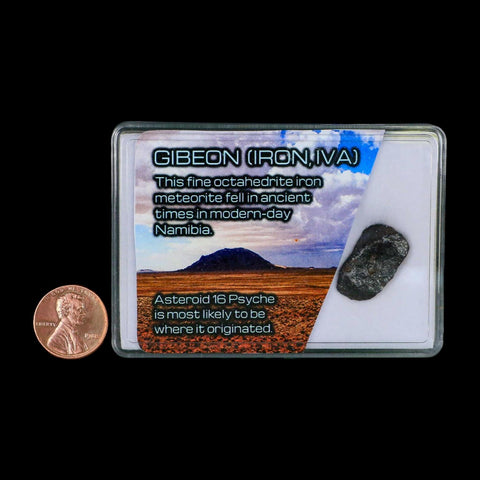 0.8" Gibeon Meteorite Specimen Namibia Africa Asteroid 16 Psyche 4.92 Grams Display - Fossil Age Minerals