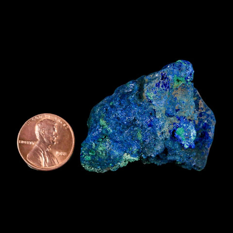 1.7" Rough Azurite Crystals And Malachite Mineral Specimen Tiznit Morocco