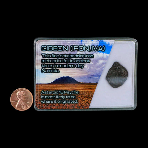 0.7" Gibeon Meteorite Specimen Namibia Africa Asteroid 16 Psyche 5.29 Grams Display - Fossil Age Minerals
