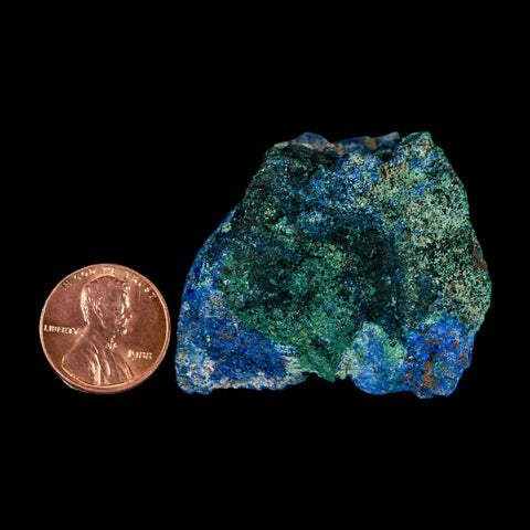 1.9" Rough Azurite Crystals And Malachite Mineral Specimen Tiznit Morocco