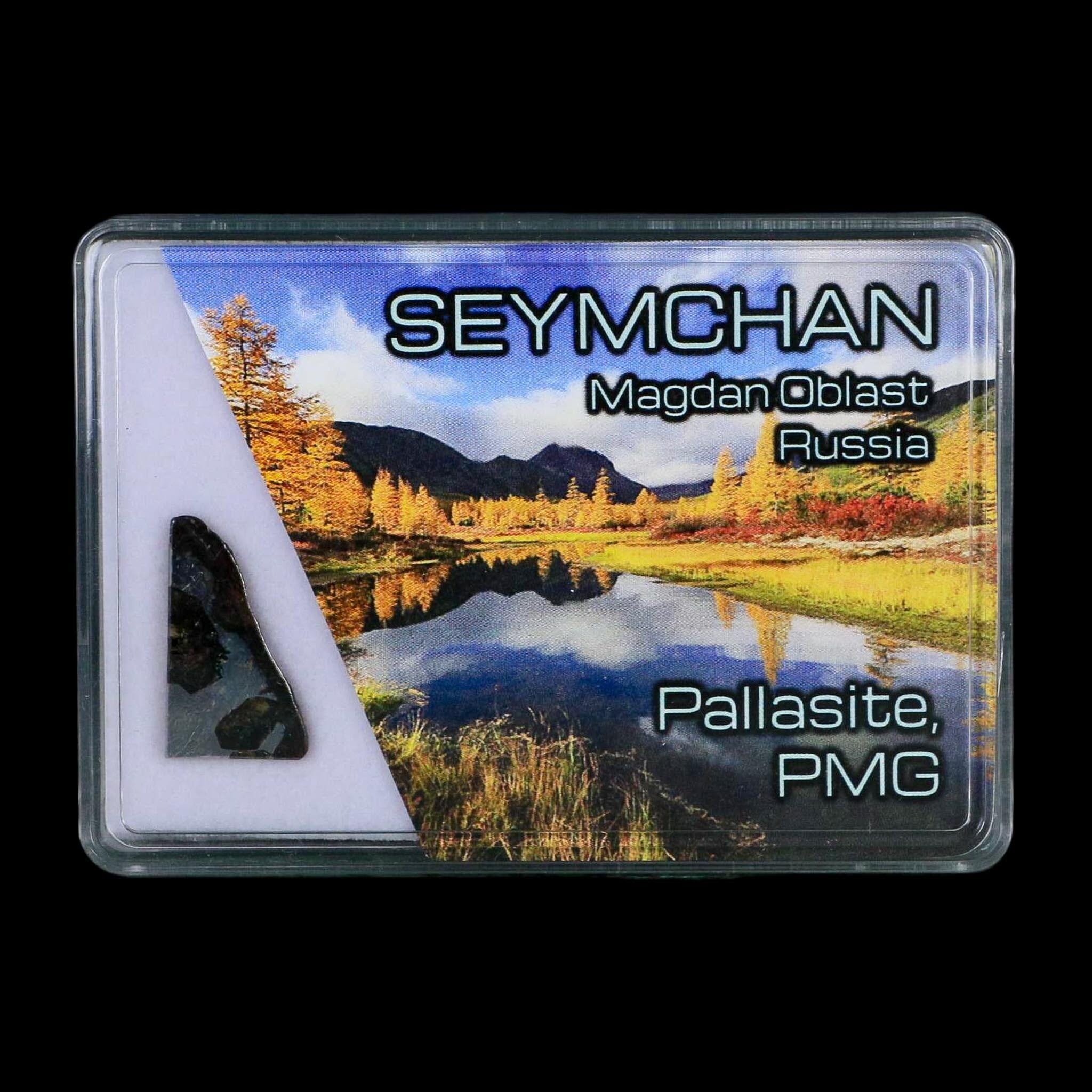 Seymchan Pallasite PMG Meteorite Specimen Magdanoblast Russia Display 1.81 Gram - Fossil Age Minerals
