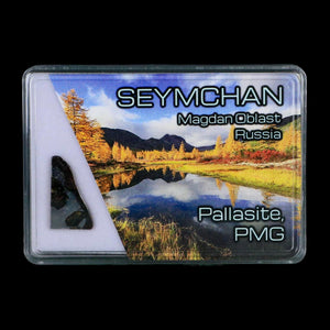 Seymchan Pallasite PMG Meteorite Specimen Magdanoblast Russia Display 1.81 Gram
