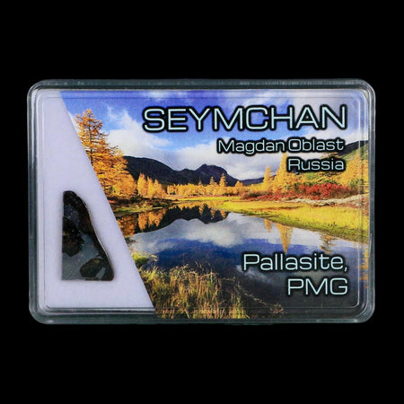 Seymchan Pallasite PMG Meteorite Specimen Magdanoblast Russia Display 1.81 Gram