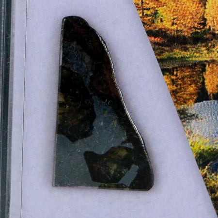 Seymchan Pallasite PMG Meteorite Specimen Magdanoblast Russia Display 1.81 Gram