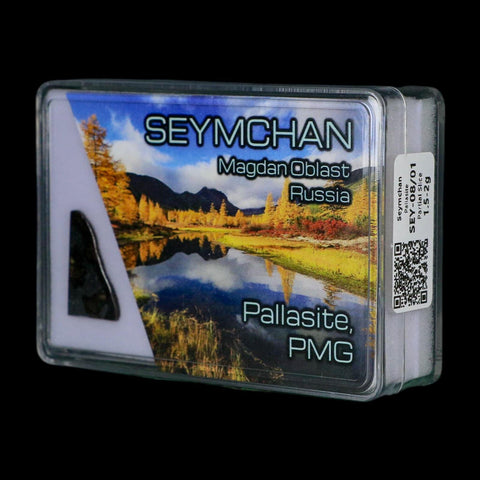 Seymchan Pallasite PMG Meteorite Specimen Magdanoblast Russia Display 1.81 Gram - Fossil Age Minerals