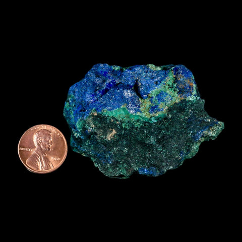 2.4" Rough Azurite Crystals And Malachite Mineral Specimen Tiznit Morocco