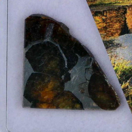 Seymchan Pallasite PMG Meteorite Specimen Magdanoblast Russia Display 1.84 Gram