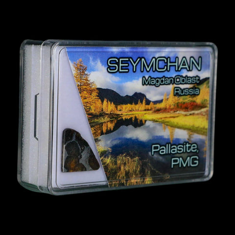 Seymchan Pallasite PMG Meteorite Specimen Magdanoblast Russia Display 1.84 Gram - Fossil Age Minerals