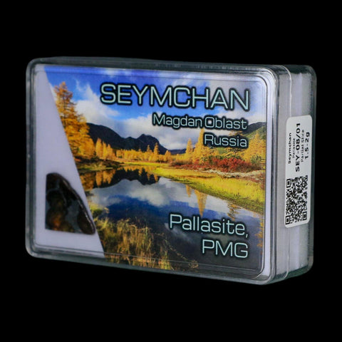 Seymchan Pallasite PMG Meteorite Specimen Magdanoblast Russia Display 1.84 Gram - Fossil Age Minerals