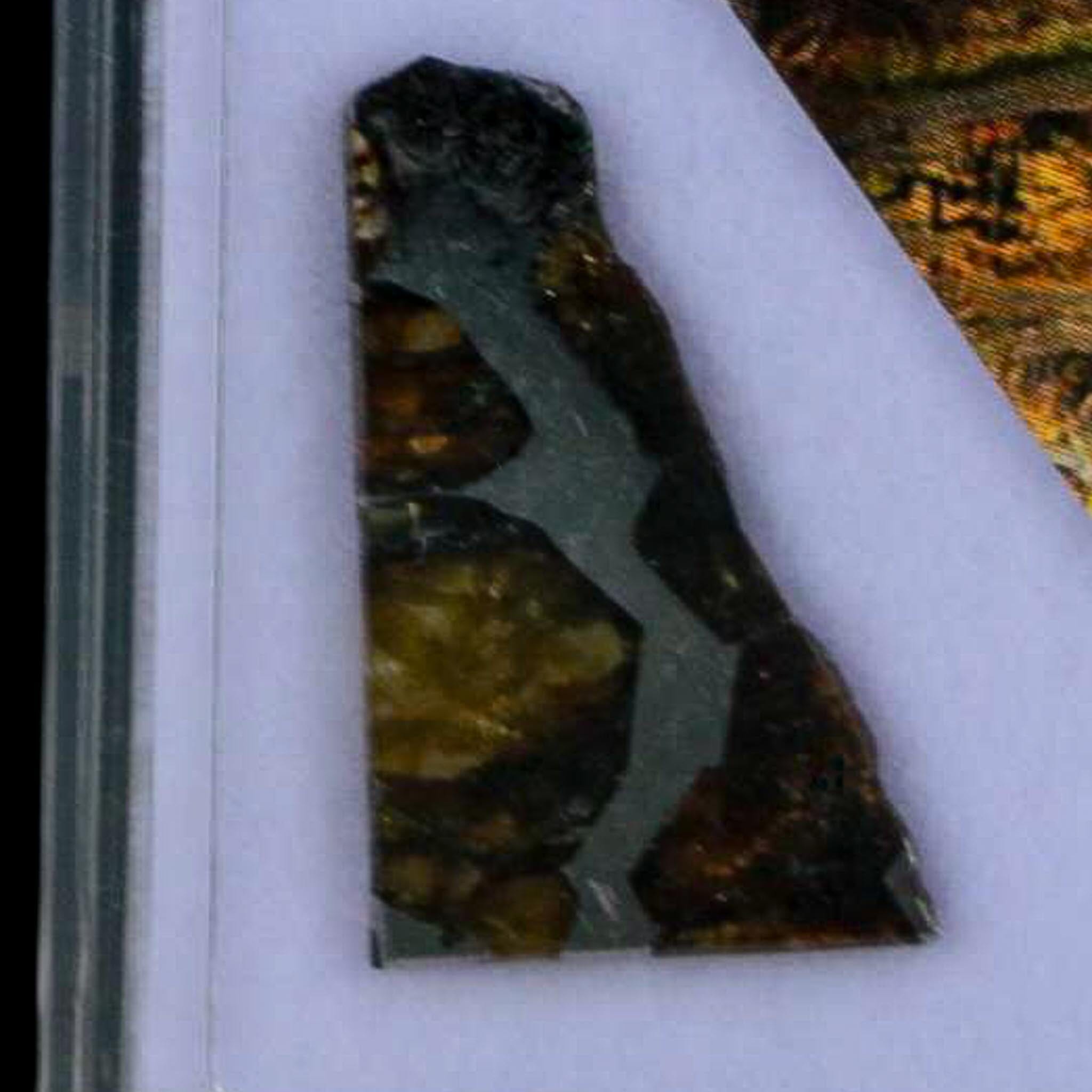 Seymchan Pallasite PMG Meteorite Specimen Magdanoblast Russia Display 1.34 Gram - Fossil Age Minerals