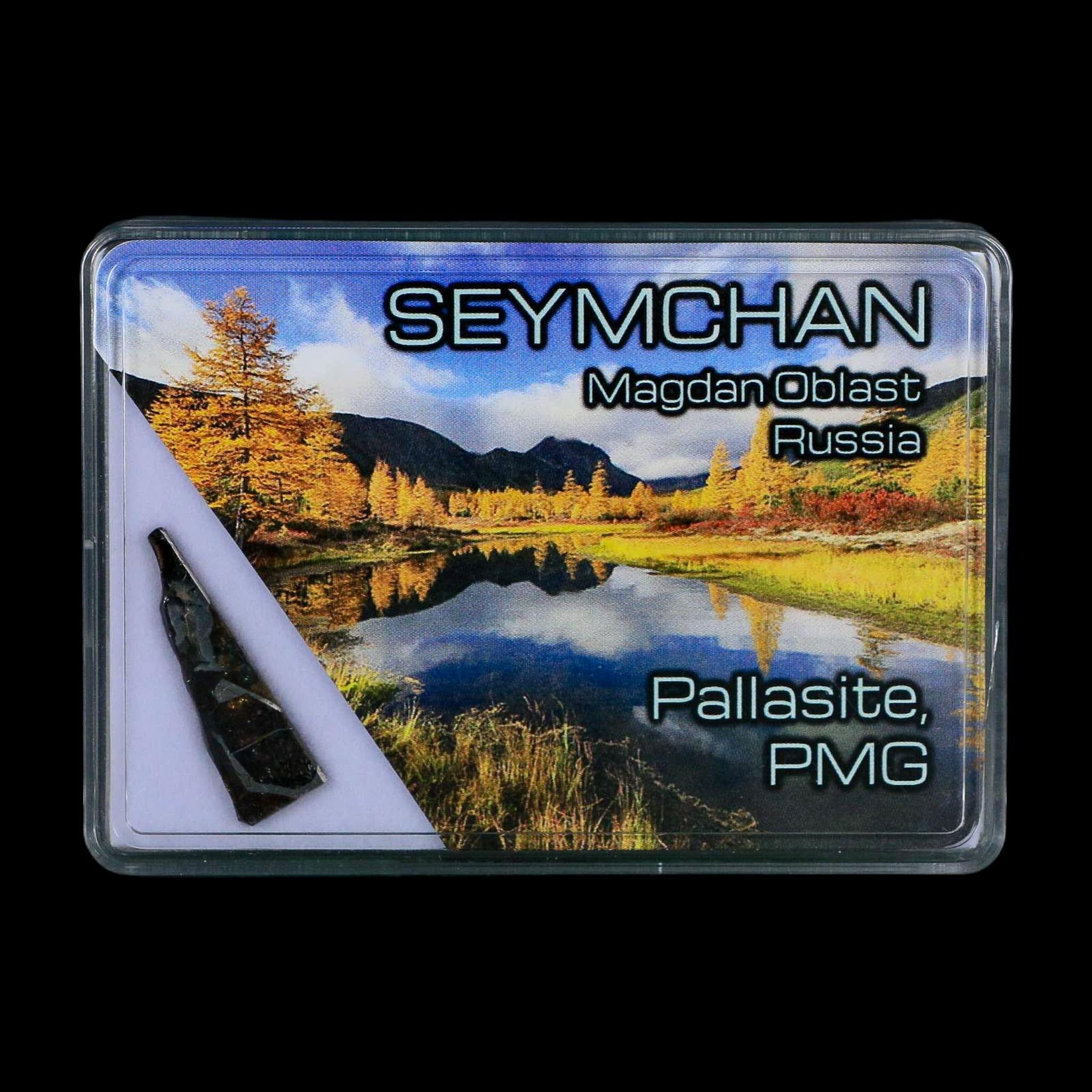 Seymchan Pallasite PMG Meteorite Specimen Magdanoblast Russia Display 1.30 Gram - Fossil Age Minerals