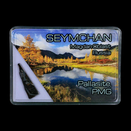 Seymchan Pallasite PMG Meteorite Specimen Magdanoblast Russia Display 1.30 Gram