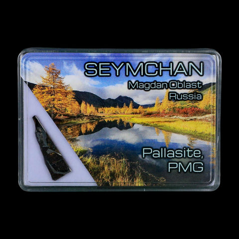 Seymchan Pallasite PMG Meteorite Specimen Magdanoblast Russia Display 1.30 Gram - Fossil Age Minerals