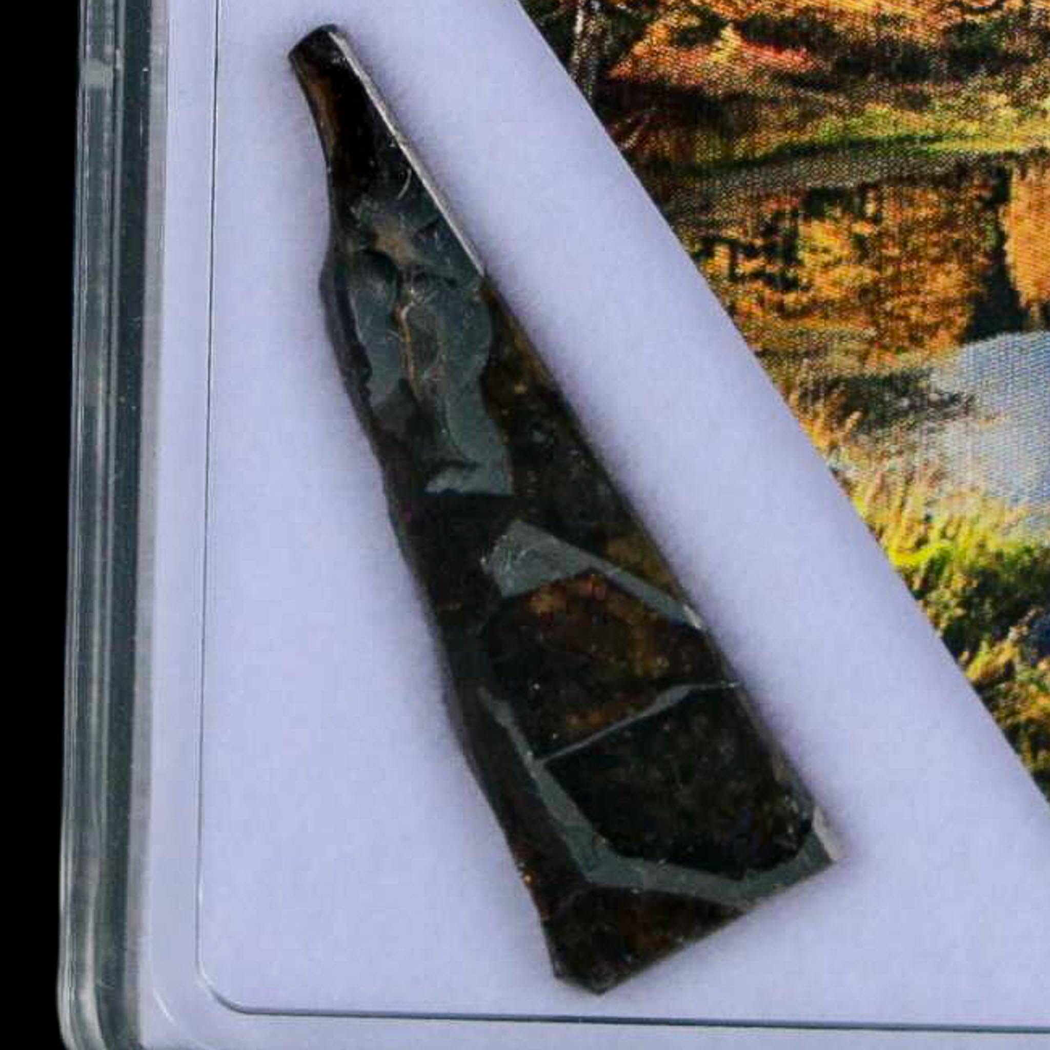Seymchan Pallasite PMG Meteorite Specimen Magdanoblast Russia Display 1.30 Gram - Fossil Age Minerals