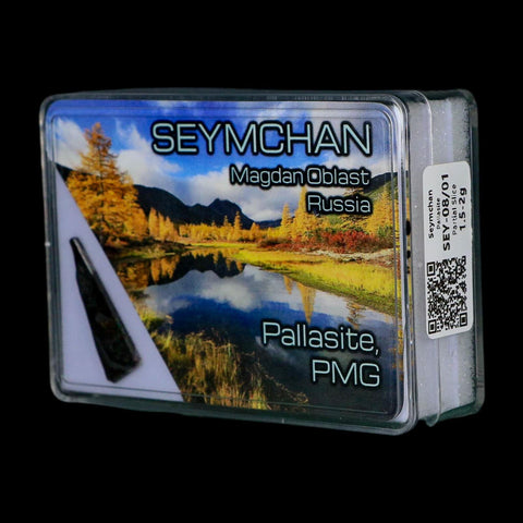 Seymchan Pallasite PMG Meteorite Specimen Magdanoblast Russia Display 1.30 Gram - Fossil Age Minerals