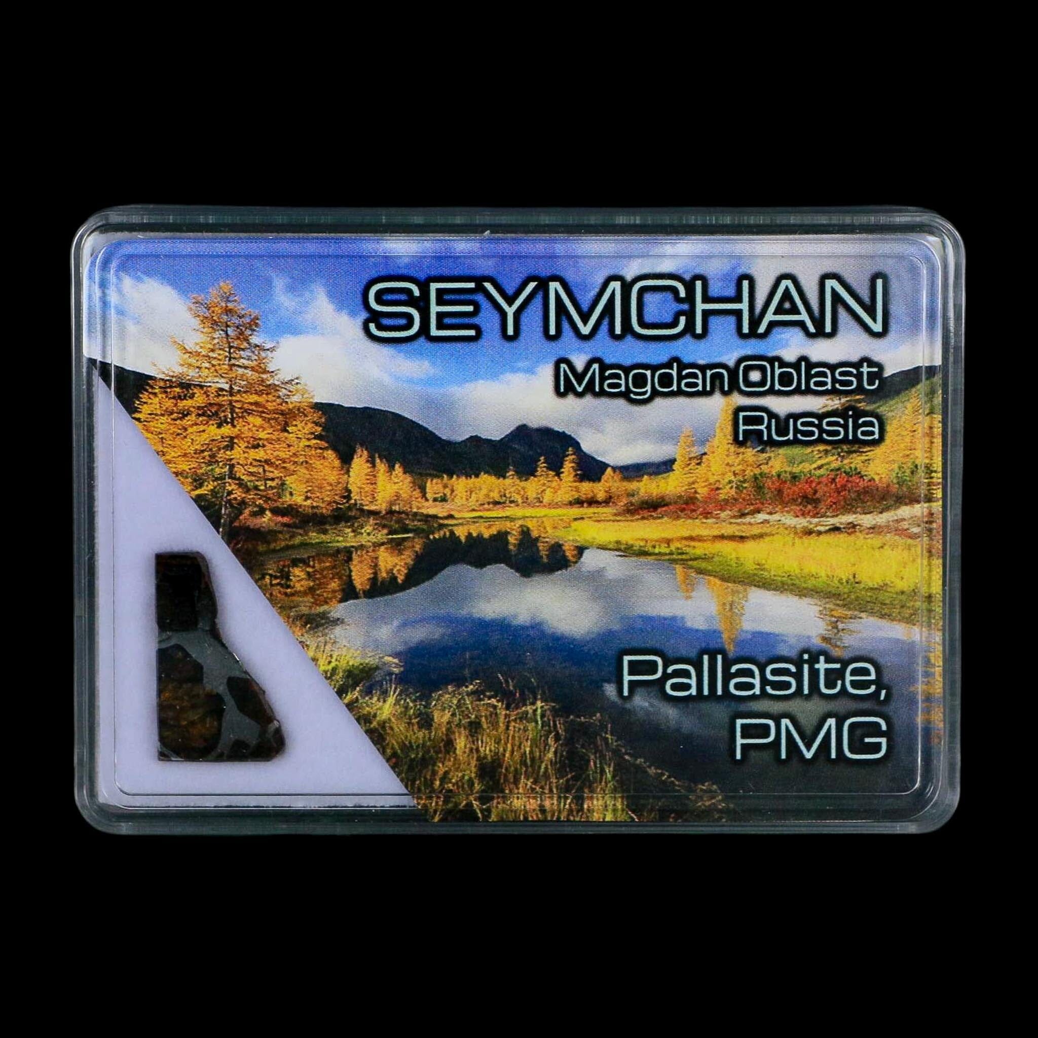 Seymchan Pallasite PMG Meteorite Specimen Magdanoblast Russia Display 1.34 Gram - Fossil Age Minerals