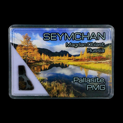 Seymchan Pallasite PMG Meteorite Specimen Magdanoblast Russia Display 1.34 Gram