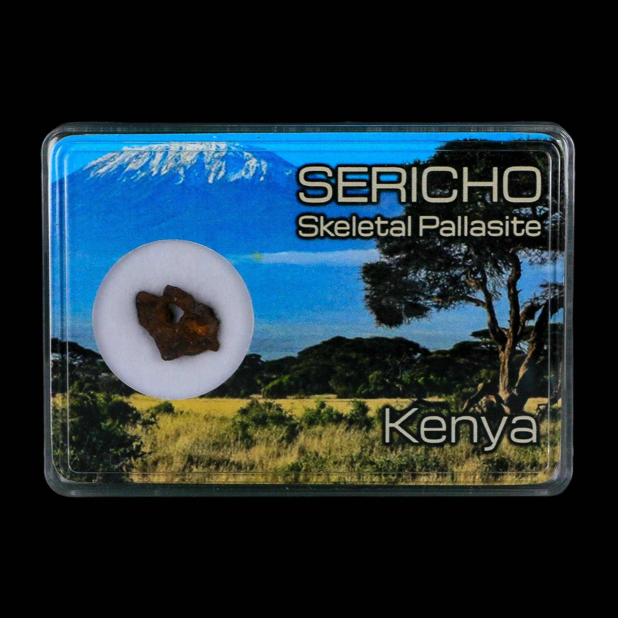 Sericho Stony Iron Pallasite Meteorite Kenya, Africa Found 2016 Display 1.44 Grams - Fossil Age Minerals