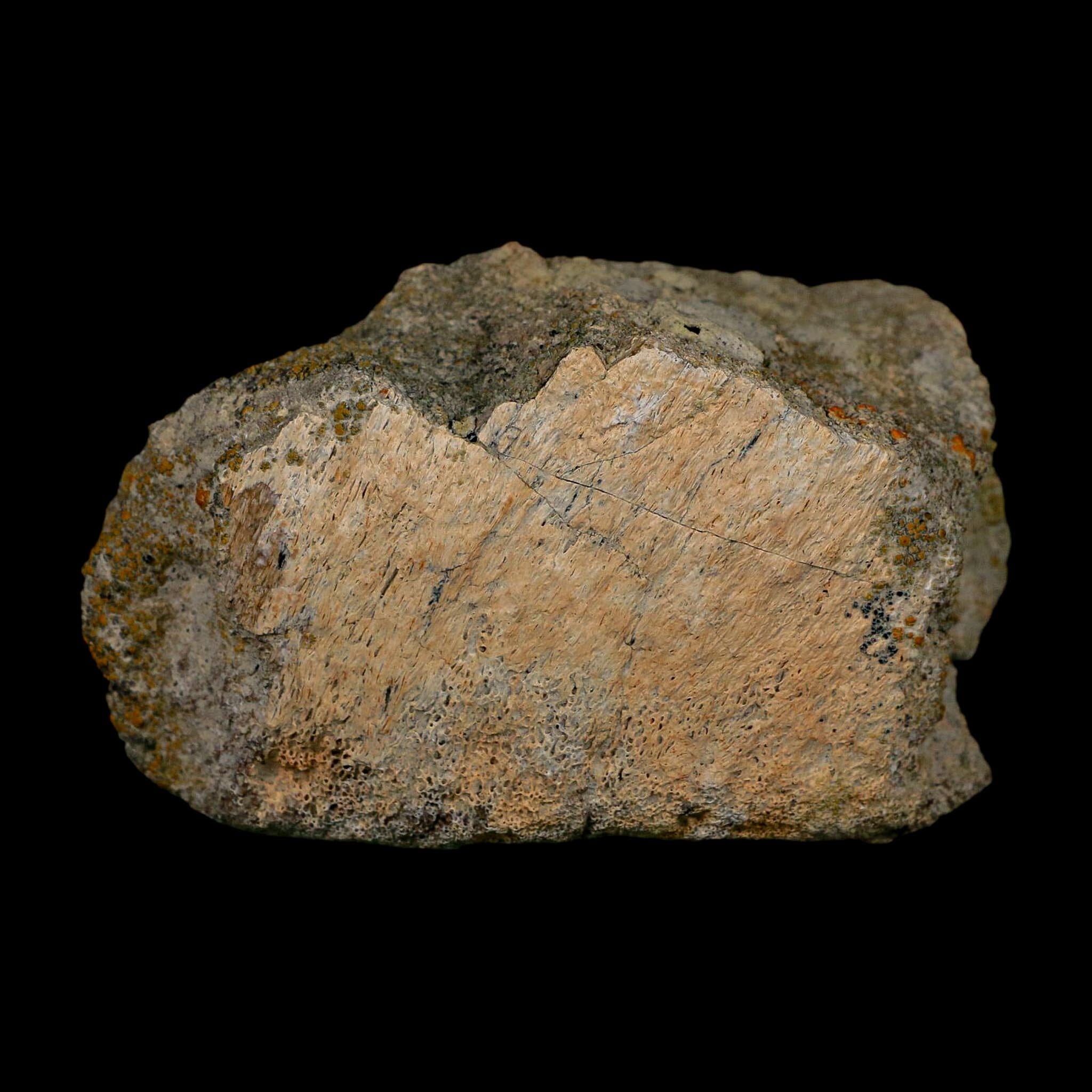3.6