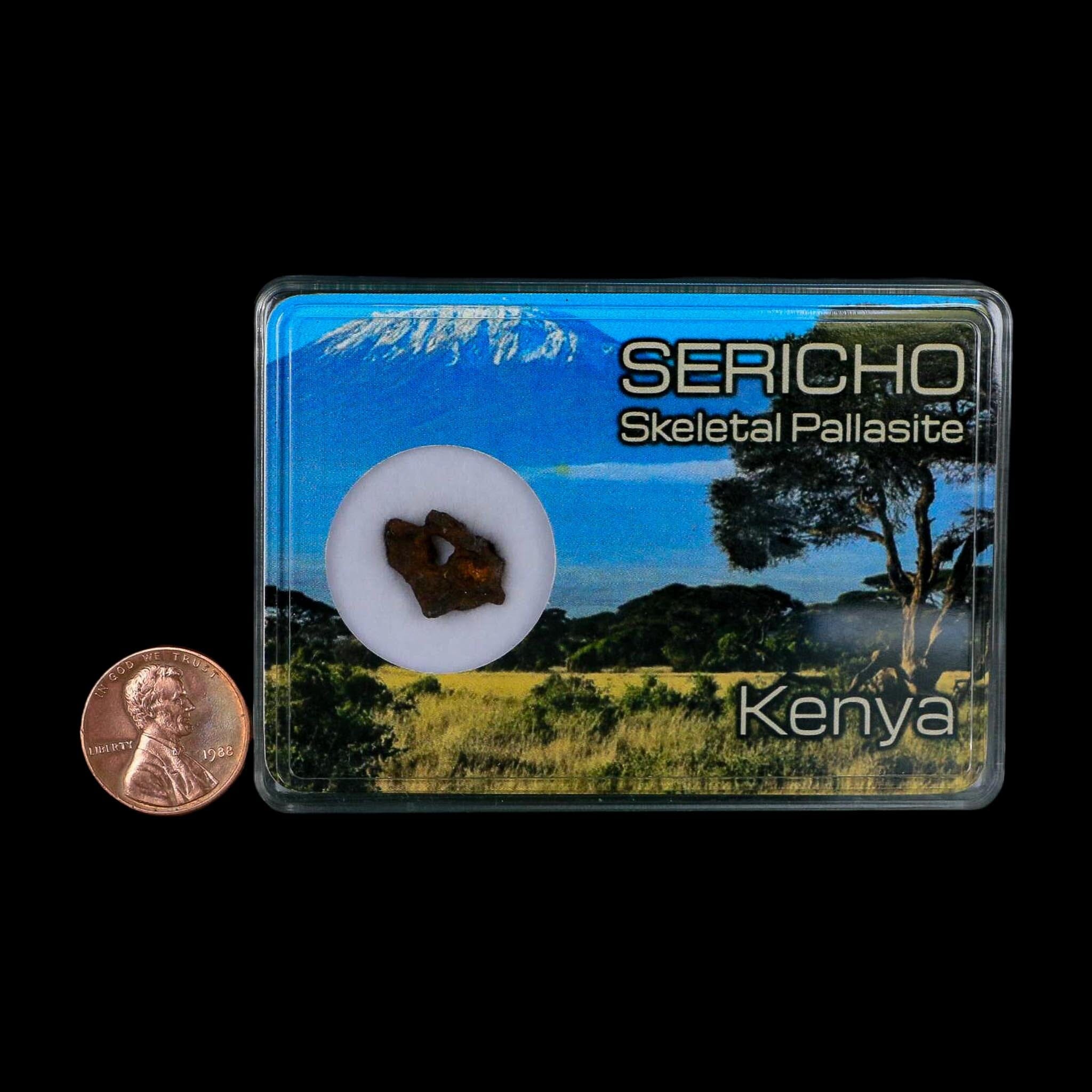 Sericho Stony Iron Pallasite Meteorite Kenya, Africa Found 2016 Display 1.44 Grams - Fossil Age Minerals