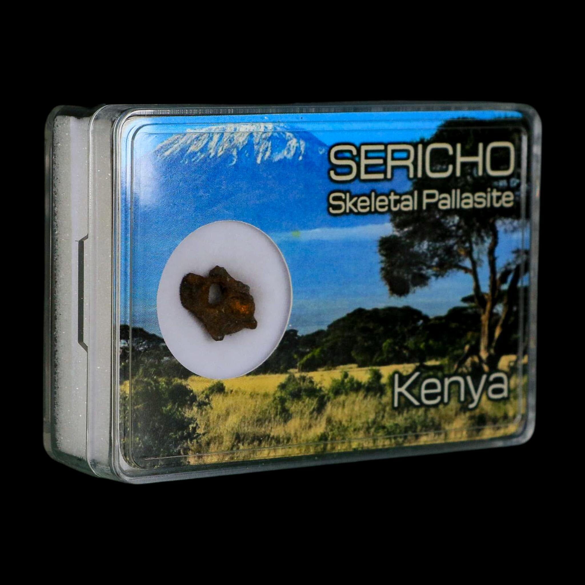 Sericho Stony Iron Pallasite Meteorite Kenya, Africa Found 2016 Display 1.44 Grams - Fossil Age Minerals