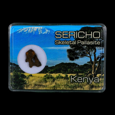 Sericho Stony Iron Pallasite Meteorite Kenya, Africa Found 2016 Display 1.56 Gram