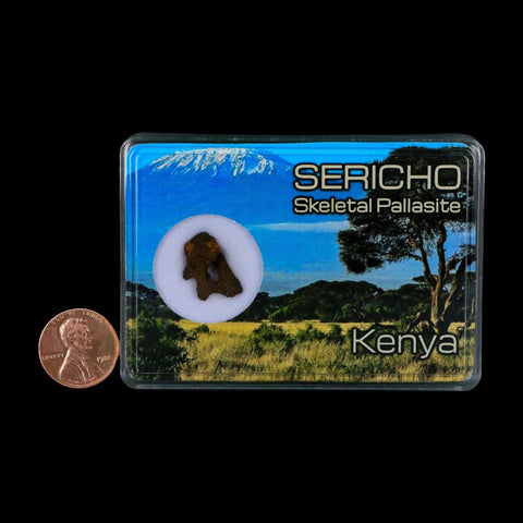 Sericho Stony Iron Pallasite Meteorite Kenya, Africa Found 2016 Display 1.56 Gram - Fossil Age Minerals