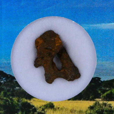 Sericho Stony Iron Pallasite Meteorite Kenya, Africa Found 2016 Display 1.56 Gram