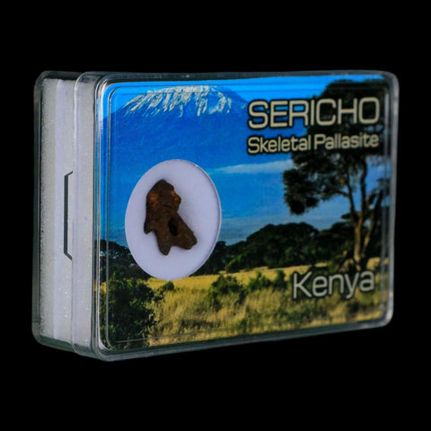 Sericho Stony Iron Pallasite Meteorite Kenya, Africa Found 2016 Display 1.56 Gram - Fossil Age Minerals