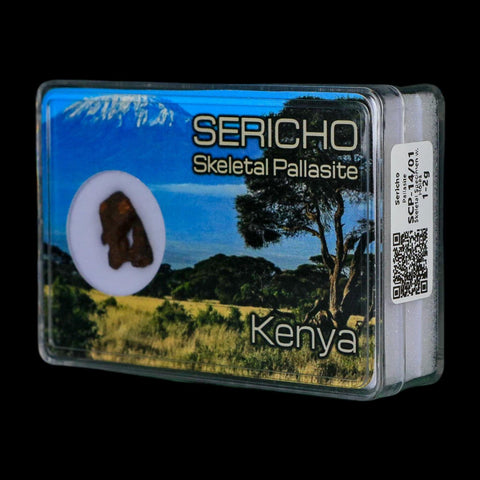 Sericho Stony Iron Pallasite Meteorite Kenya, Africa Found 2016 Display 1.56 Gram - Fossil Age Minerals