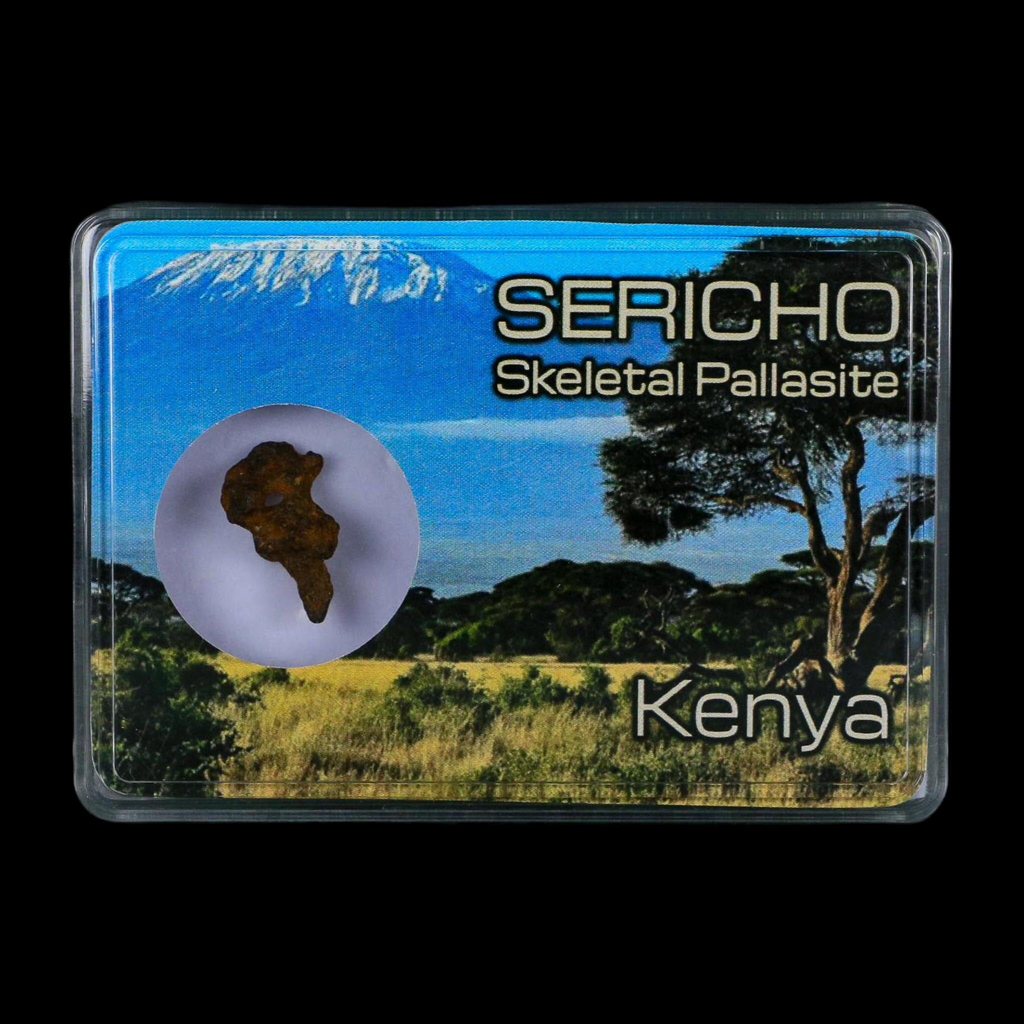 Sericho Stony Iron Pallasite Meteorite Kenya, Africa Found 2016 Display 1.47 Gram - Fossil Age Minerals