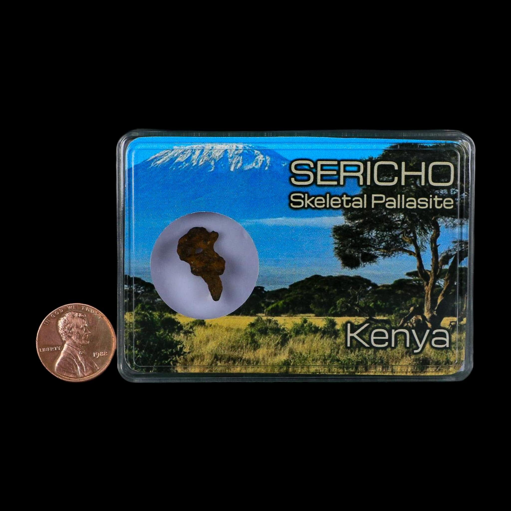 Sericho Stony Iron Pallasite Meteorite Kenya, Africa Found 2016 Display 1.47 Gram - Fossil Age Minerals